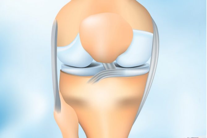 Ligamentos do Joelho – LCA, LCP, LCM e LCL